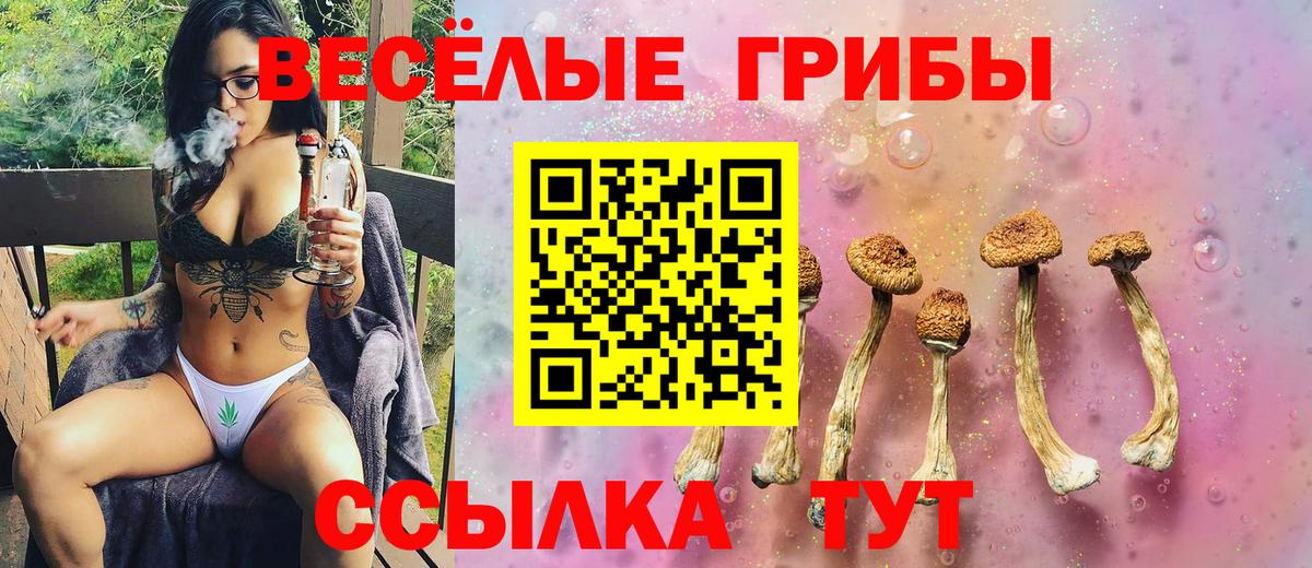 Псилоцибиновые грибы мухоморы Черкесск