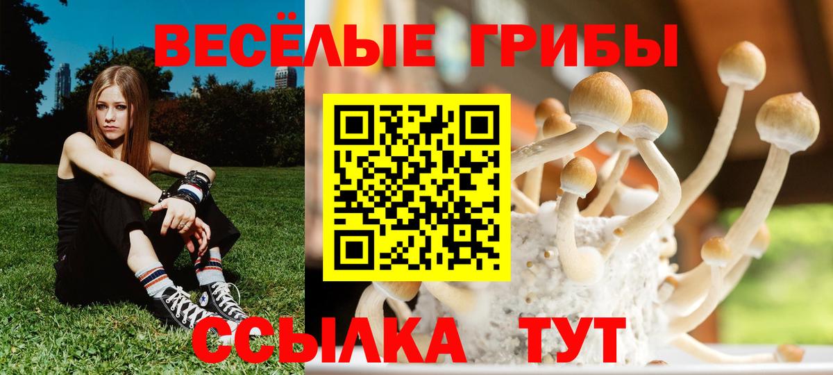 Черкесск  закладки  Галлюциногенные грибы Magic Shrooms  Вход с VPN  Псилоцибиновые грибы Cubensis 